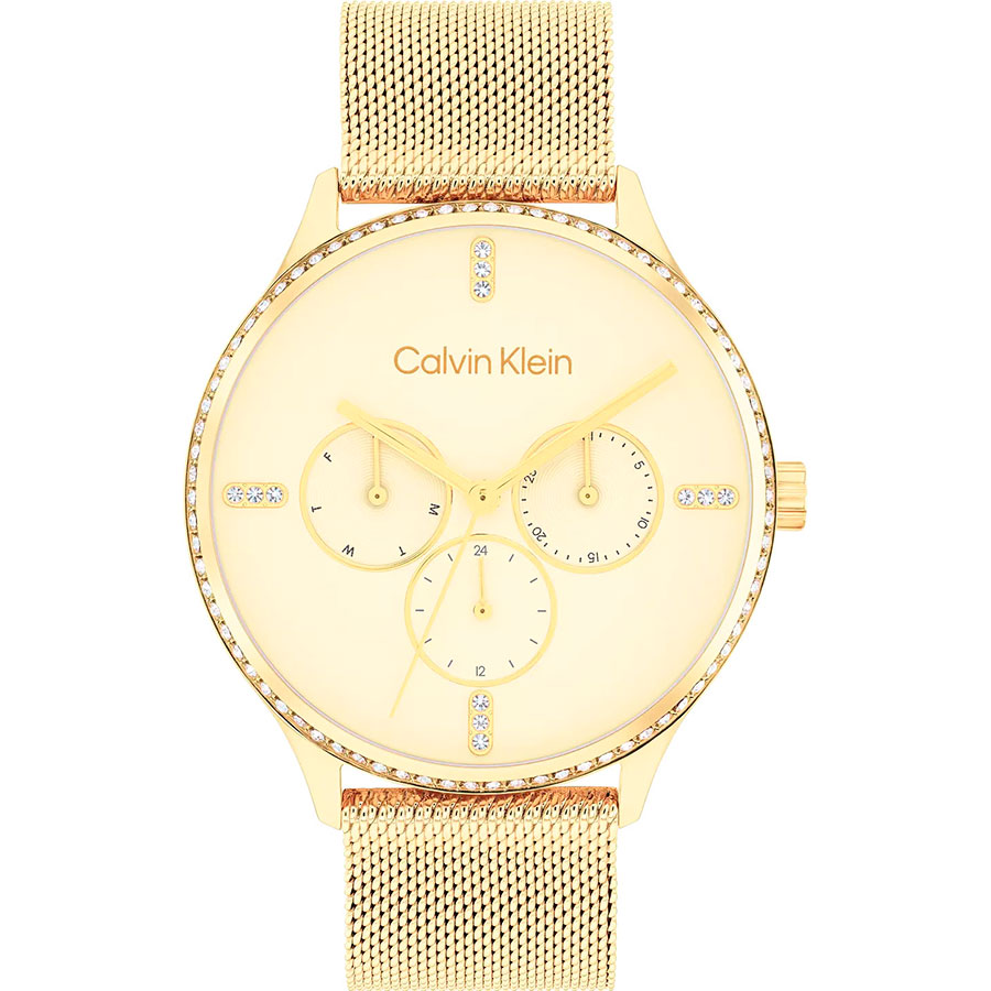 Часы Calvin Klein Multifunction 25200372